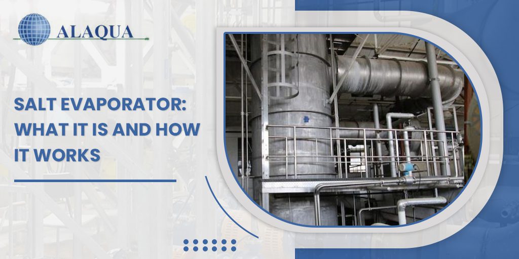 Salt Evaporator